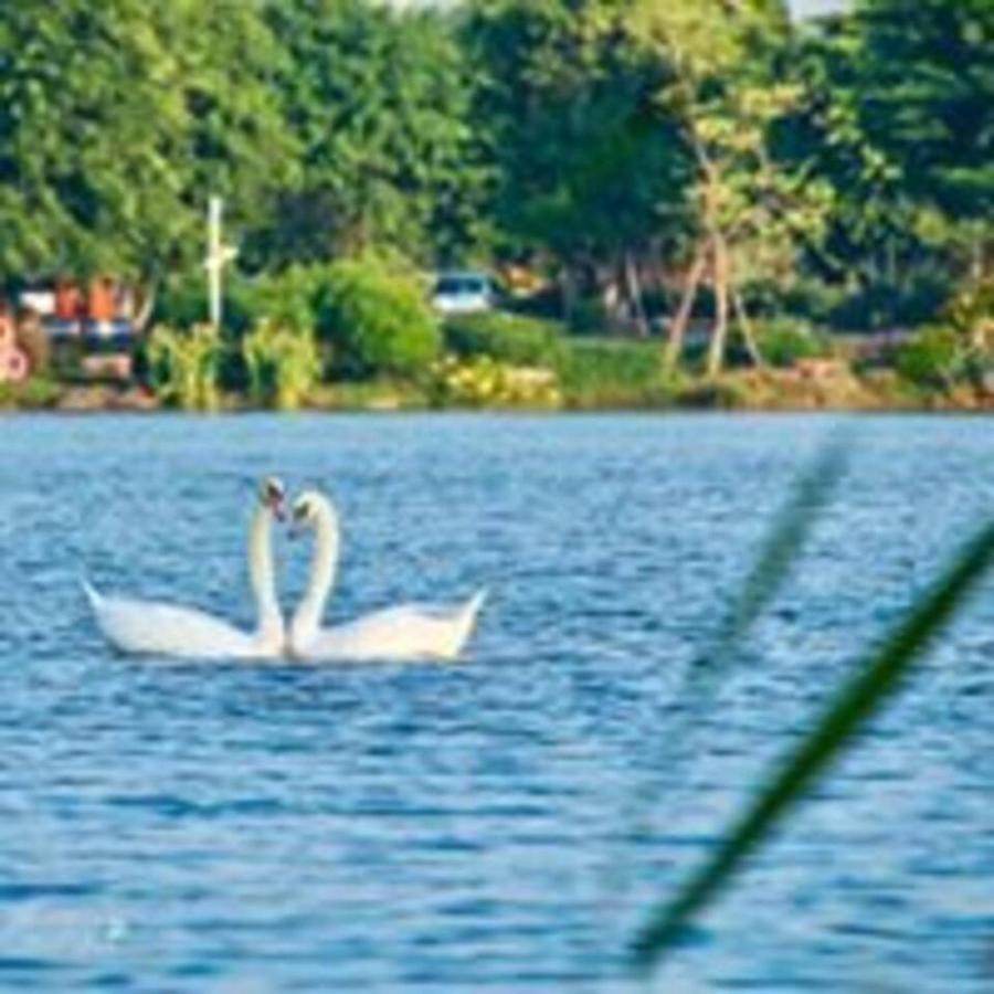 Sue Homestay Ecopark Hung Yen Exteriér fotografie